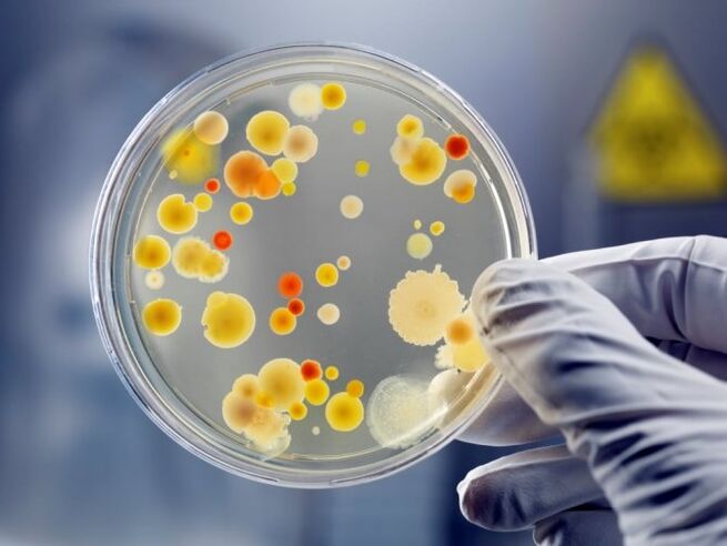 Nekontrolēta antibiotiku lietošana izraisa sēnīšu prostatītu
