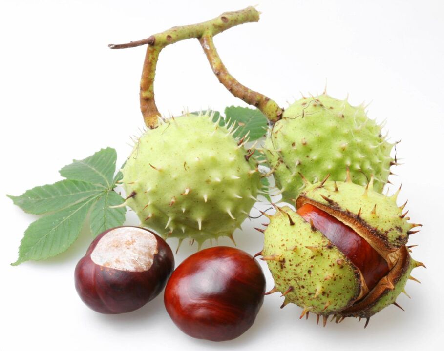 kastaņu čaumalas prostatīta ārstēšanai